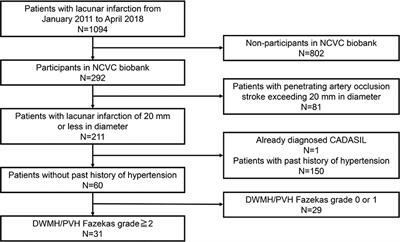 Prevalence and Atypical Clinical Characteristics of NOTCH3 Mutations Among Patients Admitted for Acute Lacunar Infarctions